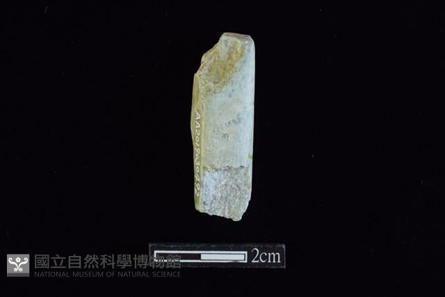 錛鑿形器藏品圖，第1張