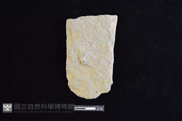 斧鋤形器藏品圖，第1張