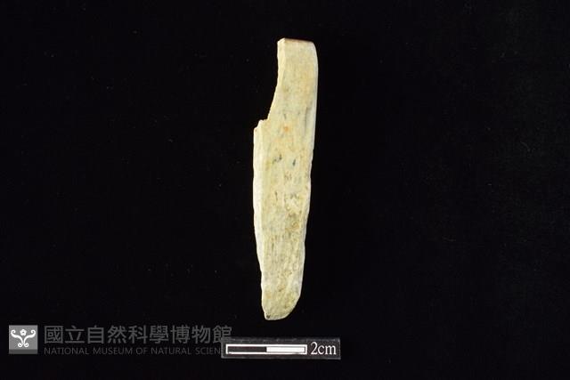 錛鑿形器藏品圖，第1張