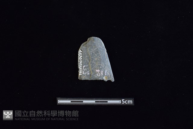 矛鏃形器藏品圖，第2張