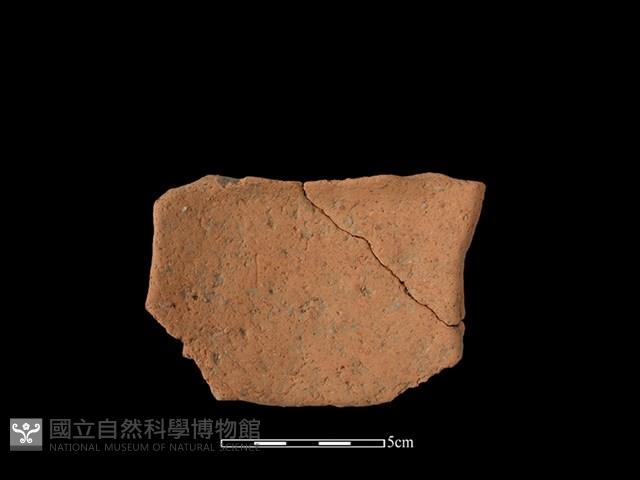 陶片藏品圖，第2張