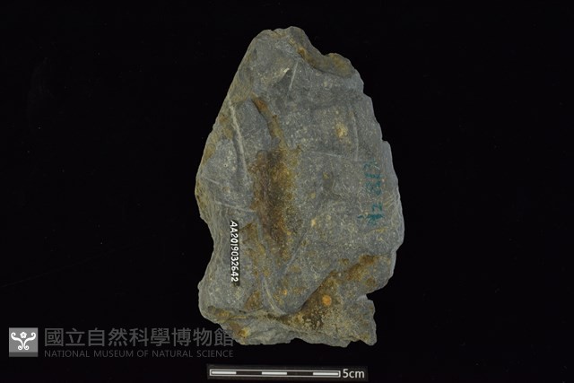 戈形器藏品圖，第2張
