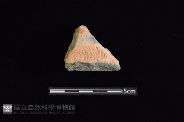 陶罐藏品圖，第1張