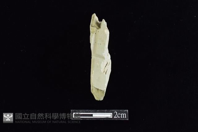錛鑿形器藏品圖，第1張