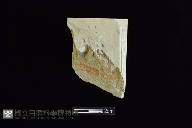 錛鑿形器藏品圖，第1張