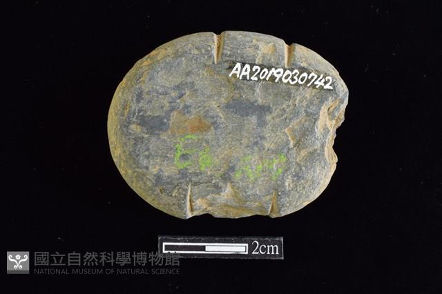 網墜藏品圖，第2張