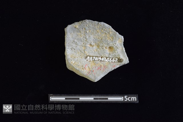 束腰陶罐藏品圖，第2張