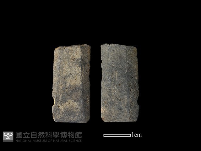 矛鏃形器藏品圖，第1張