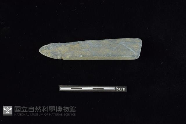 網墜藏品圖，第1張