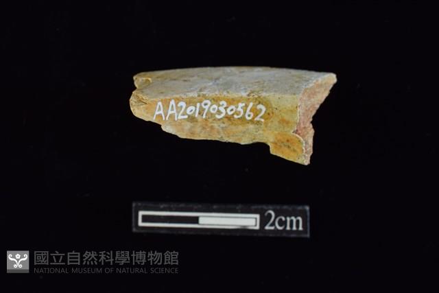 玉環藏品圖，第2張