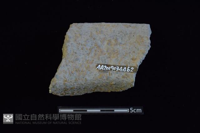 陶罐藏品圖，第2張