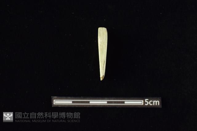 錛鑿形器藏品圖，第1張