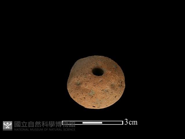 紡輪藏品圖，第2張