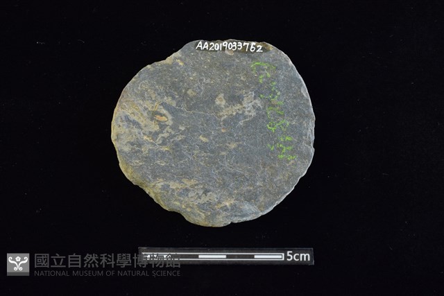 石圓片藏品圖，第2張