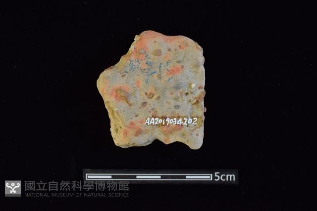 陶片藏品圖，第2張