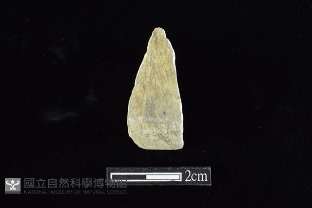 錛鑿形器藏品圖，第1張