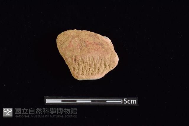 陶罐藏品圖，第1張