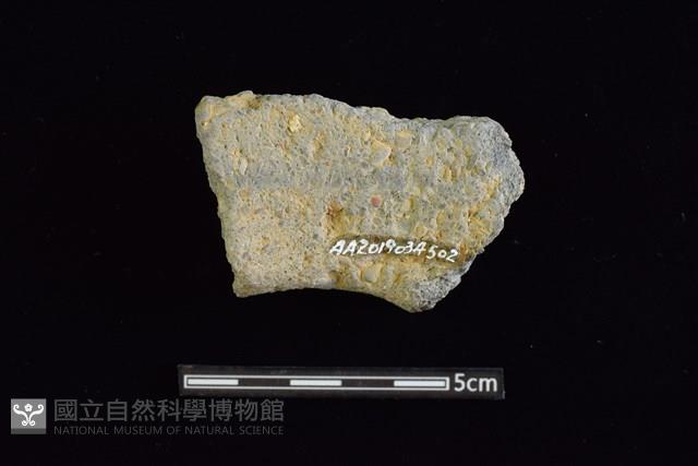 陶罐藏品圖，第2張