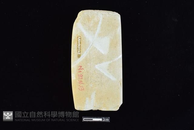 錛鑿形器藏品圖，第2張