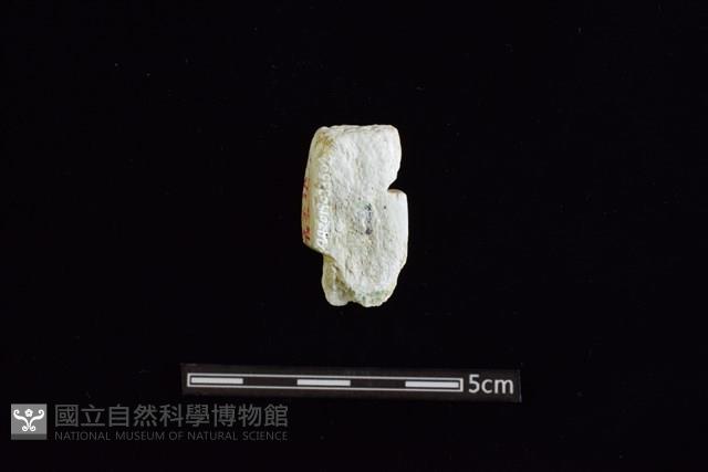 玉料藏品圖，第2張