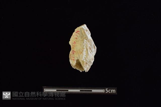 玉料藏品圖，第2張