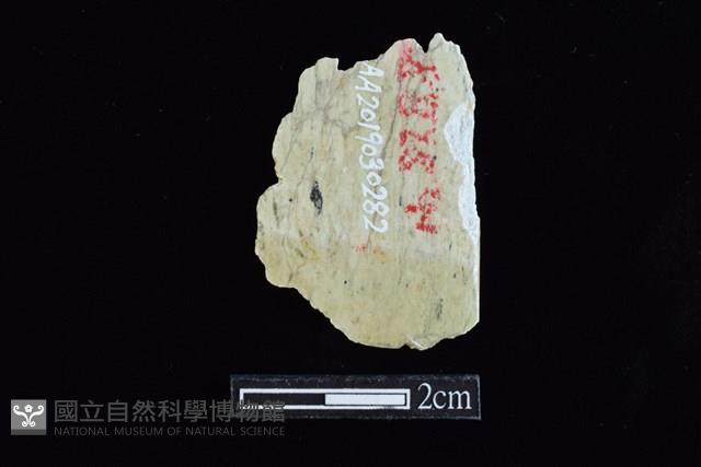 錛鑿形器藏品圖，第1張