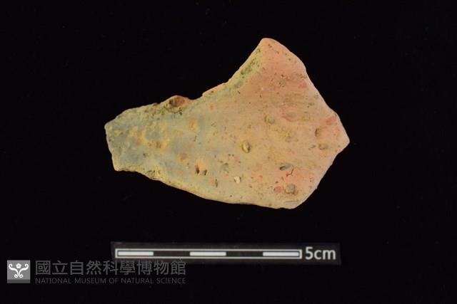 陶罐藏品圖，第1張