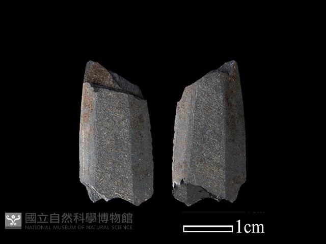 矛鏃形器藏品圖，第1張