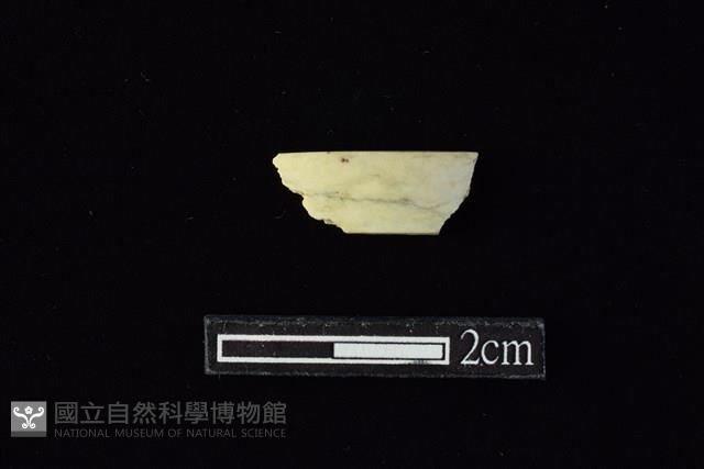 玉環藏品圖，第1張