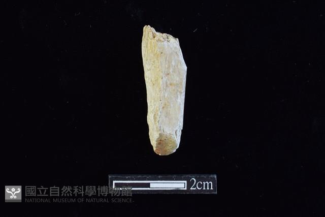 錛鑿形器藏品圖，第1張