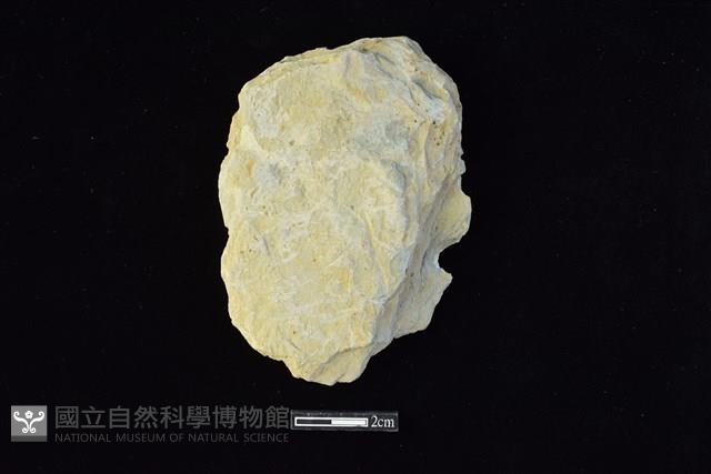 斧鋤形器藏品圖，第1張