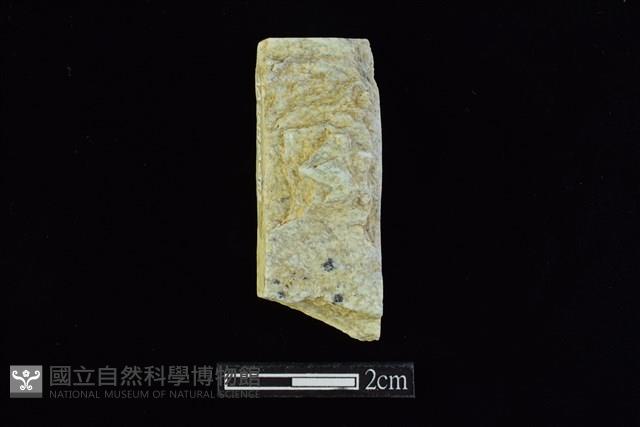 錛鑿形器藏品圖，第1張