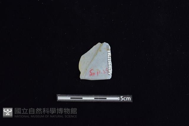 矛鏃形器藏品圖，第2張