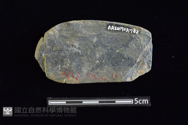 網墜藏品圖，第2張