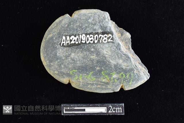 網墜藏品圖，第2張