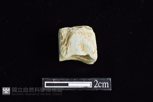 錛鑿形器藏品圖，第2張