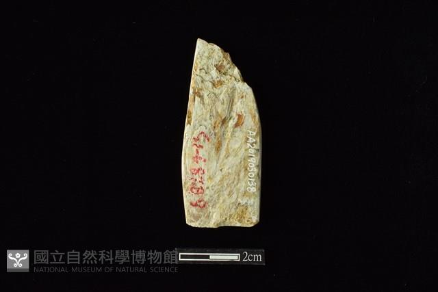 錛鑿形器藏品圖，第2張