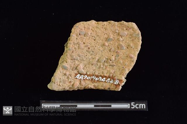 陶罐藏品圖，第2張