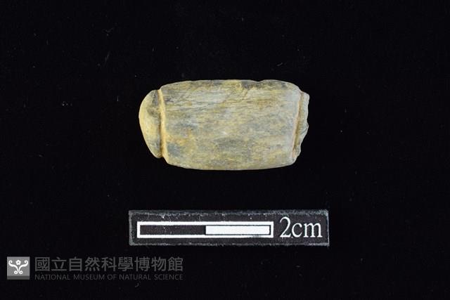 網墜藏品圖，第1張