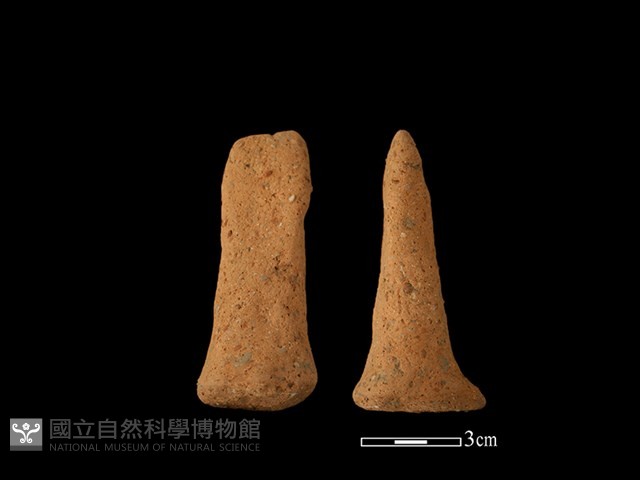 陶蓋鈕藏品圖，第1張