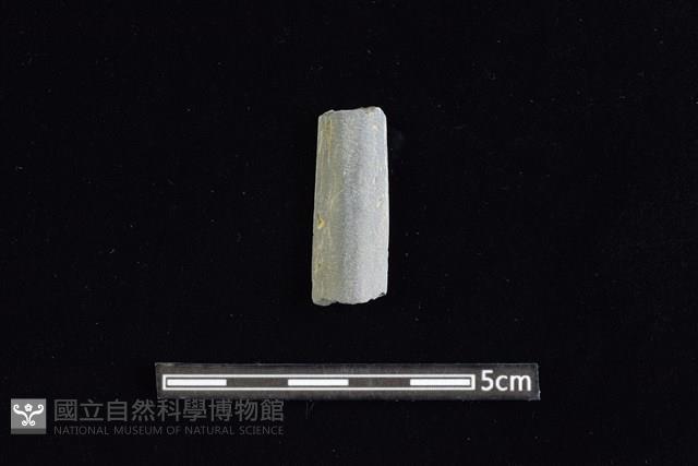 矛鏃形器藏品圖，第1張