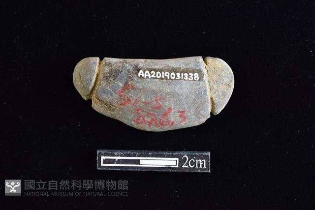 網墜藏品圖，第2張