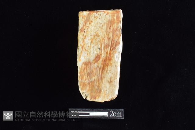 錛鑿形器藏品圖，第2張