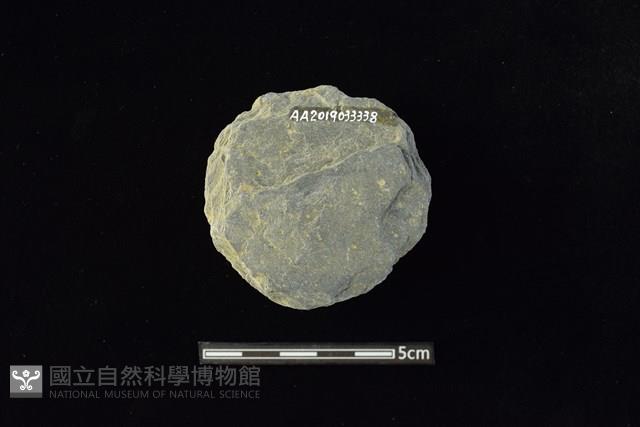 石圓片藏品圖，第2張