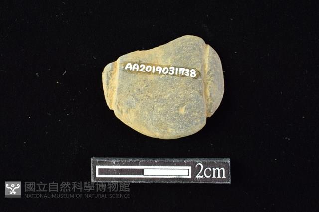 網墜藏品圖，第2張