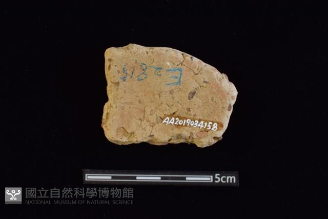 陶片藏品圖，第2張