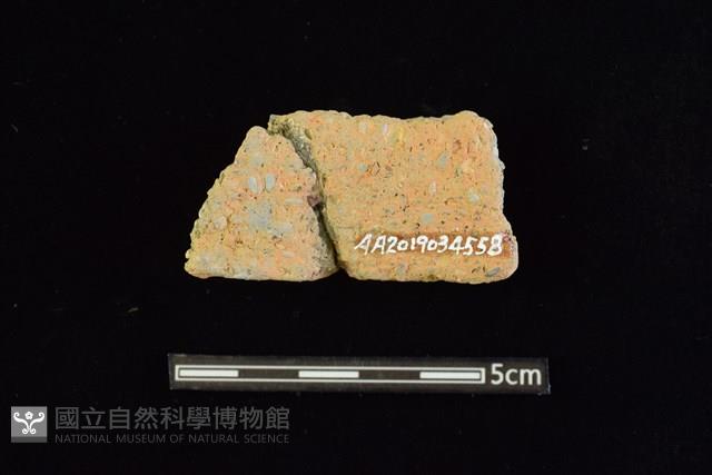 陶罐藏品圖，第2張