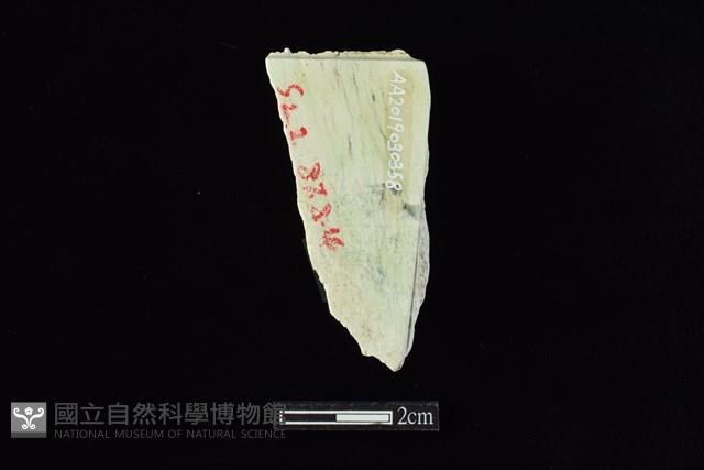 錛鑿形器藏品圖，第2張