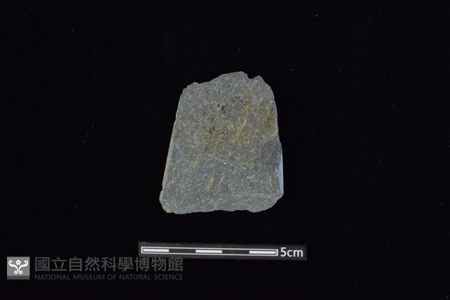 矛鏃形器藏品圖，第2張