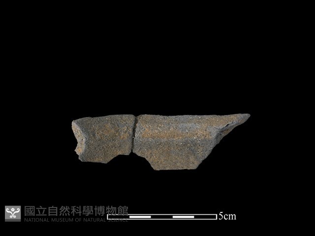 陶罐藏品圖，第2張